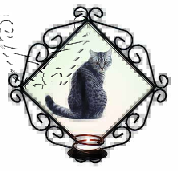 Silver Spot Tabby Cat Wrought Iron Wall Art Candle Holder