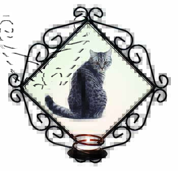 Silver Spot Tabby Cat Wrought Iron Wall Art Candle Holder
