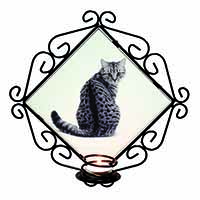 Silver Spot Tabby Cat Wrought Iron Wall Art Candle Holder