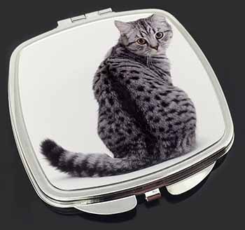 Silver Spot Tabby Cat Make-Up Compact Mirror