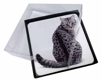 4x Silver Spot Tabby Cat Picture Table Coasters Set in Gift Box
