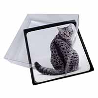 4x Silver Spot Tabby Cat Picture Table Coasters Set in Gift Box