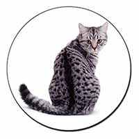 Silver Spot Tabby Cat Fridge Magnet Printed Full Colour