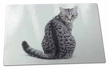 Large Glass Cutting Chopping Board Silver Spot Tabby Cat