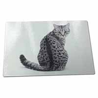 Large Glass Cutting Chopping Board Silver Spot Tabby Cat