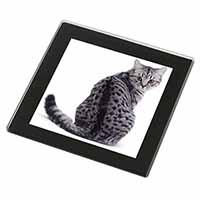 Silver Spot Tabby Cat Black Rim High Quality Glass Coaster
