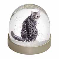 Silver Spot Tabby Cat Snow Globe Photo Waterball