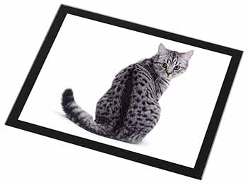 Silver Spot Tabby Cat Black Rim High Quality Glass Placemat