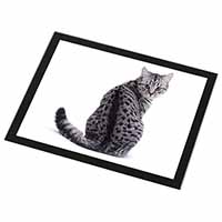 Silver Spot Tabby Cat Black Rim High Quality Glass Placemat