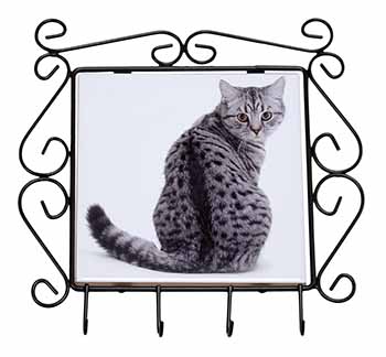 Silver Spot Tabby Cat Wrought Iron Key Holder Hooks