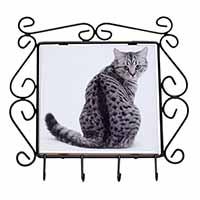 Silver Spot Tabby Cat Wrought Iron Key Holder Hooks