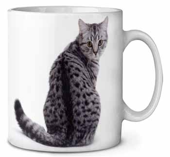 Silver Spot Tabby Cat Ceramic 10oz Coffee Mug/Tea Cup