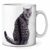 Silver Spot Tabby Cat Ceramic 10oz Coffee Mug/Tea Cup