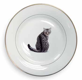 Silver Spot Tabby Cat Gold Rim Plate Printed Full Colour in Gift Box