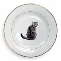 Silver Spot Tabby Cat Gold Rim Plate Printed Full Colour in Gift Box