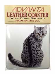 Silver Spot Tabby Cat Single Leather Photo Coaster