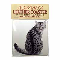 Silver Spot Tabby Cat Single Leather Photo Coaster