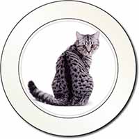 Silver Spot Tabby Cat Car or Van Permit Holder/Tax Disc Holder