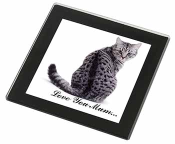 Tabby Cat 