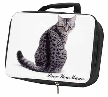 Tabby Cat 