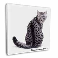 Tabby Cat Love Sentiment Square Canvas 12"x12" Wall Art Picture Print