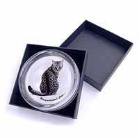 Tabby Cat Love Sentiment Glass Paperweight in Gift Box