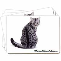 Tabby Cat Love Sentiment Picture Placemats in Gift Box