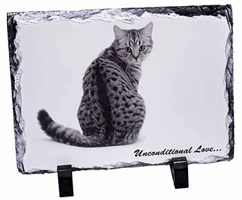 Tabby Cat Love Sentiment, Stunning Photo Slate