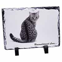 Tabby Cat Love Sentiment, Stunning Animal Photo Slate