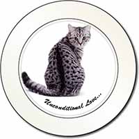 Tabby Cat Love Sentiment Car or Van Permit Holder/Tax Disc Holder