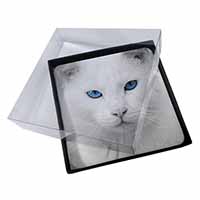 4x Blue Eyed White Cat Picture Table Coasters Set in Gift Box