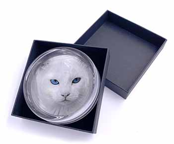 Blue Eyed White Cat Glass Paperweight in Gift Box