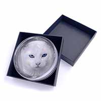 Blue Eyed White Cat Glass Paperweight in Gift Box