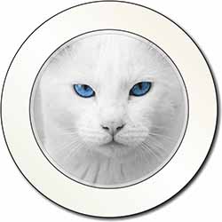 Blue Eyed White Cat Car or Van Permit Holder/Tax Disc Holder