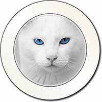 Blue Eyed White Cat Car or Van Permit Holder/Tax Disc Holder