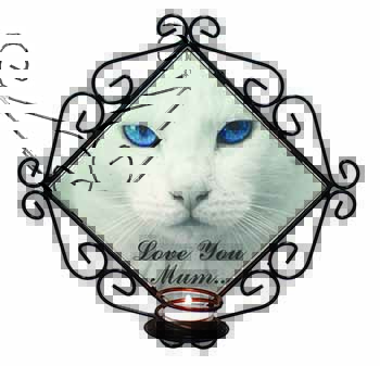White Cat 
