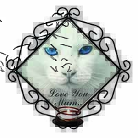 White Cat 