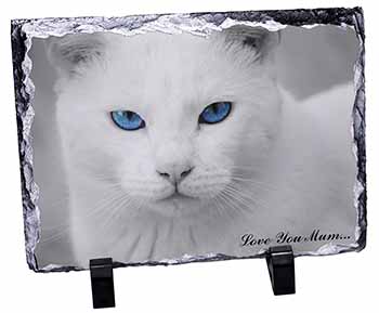 White Cat 