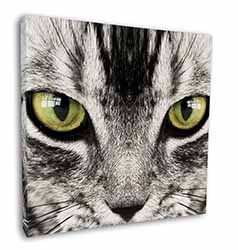 Silver Tabby Cat Face Square Canvas 12"x12" Wall Art Picture Print