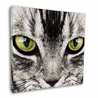 Silver Tabby Cat Face Square Canvas 12"x12" Wall Art Picture Print