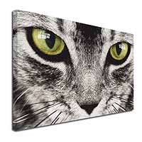 Silver Tabby Cat Face Canvas X-Large 30"x20" Wall Art Print