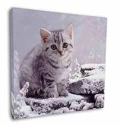 Silver Tabby Cat in Snow Square Canvas 12"x12" Wall Art Picture Print