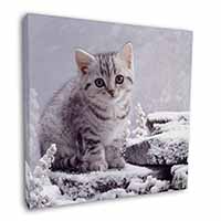 Silver Tabby Cat in Snow Square Canvas 12"x12" Wall Art Picture Print