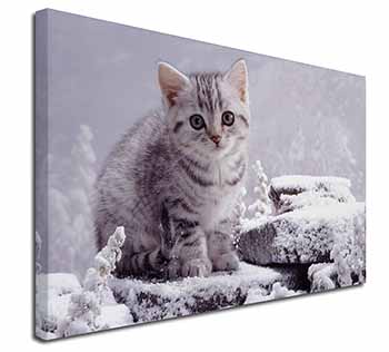 Silver Tabby Cat in Snow Canvas X-Large 30"x20" Wall Art Print