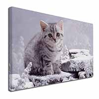 Silver Tabby Cat in Snow Canvas X-Large 30"x20" Wall Art Print