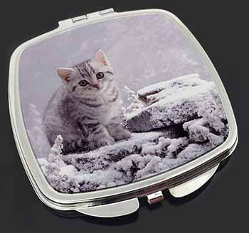 Silver Tabby Cat in Snow Make-Up Compact Mirror