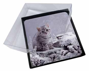 4x Silver Tabby Cat in Snow Picture Table Coasters Set in Gift Box
