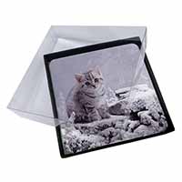 4x Silver Tabby Cat in Snow Picture Table Coasters Set in Gift Box