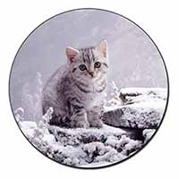 Silver Tabby Cat in Snow Fridge Magnet Printed Full Colour