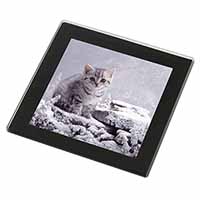 Silver Tabby Cat in Snow Black Rim High Quality Glass Coaster